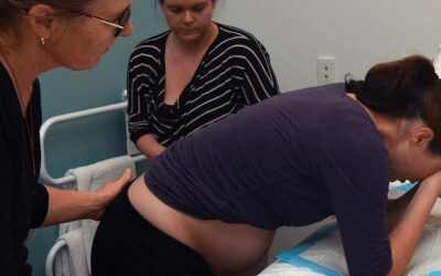 Birthworker Self-regulation: Adding Solutions, Not Problems
