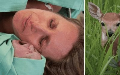 Fawning In Birth:  A Sign Of Self-Protection